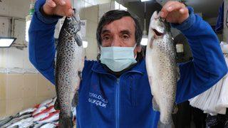 Palamut ’güldürdü’, hamsi ’üzdü’