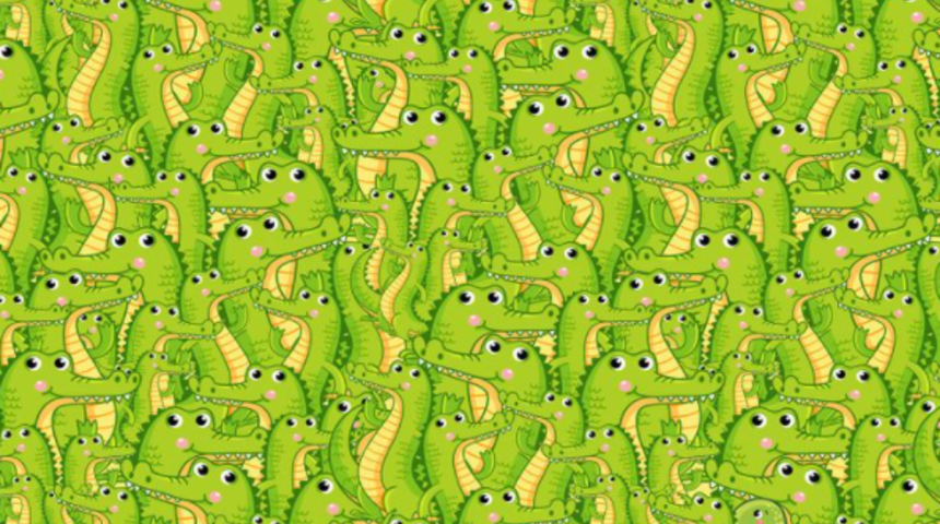 Görsel yeteneğinizi arttıracak bir bulmaca! Saklanan yılanı fark edebildiniz mi?