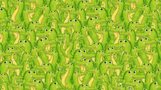 Görsel yeteneğinizi arttıracak bir bulmaca! Saklanan yılanı fark edebildiniz mi?