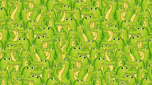 Görsel yeteneğinizi arttıracak bir bulmaca! Saklanan yılanı fark edebildiniz mi?