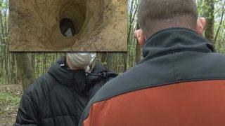 Belgrad Ormanı'nda define avı! Devasa çukur şaşkına çevirdi