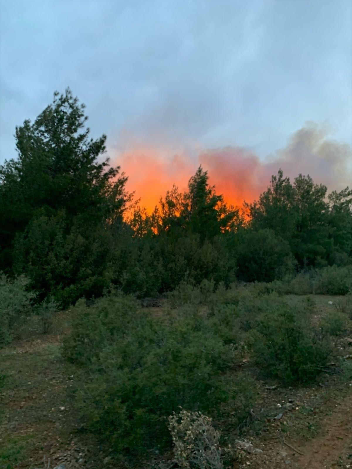 Muğla'nın Kavaklıdere il&ccedil;esinde orman yangını başladı