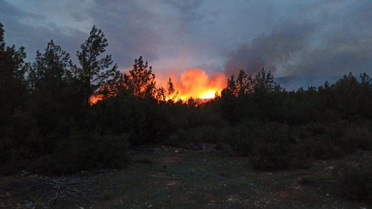 Muğla'nın Kavaklıdere ilçesinde orman yangını başladı G2
