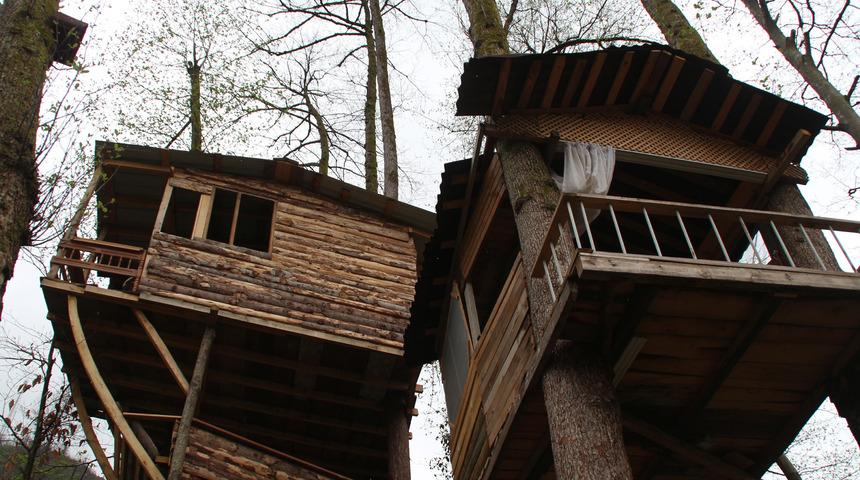 Pandemiden kaçtı, ormana sığındı: Marangozun koronavirüs sığınağı