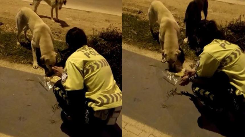 Kumanyasını sokak köpeğiyle paylaşan polis memuru