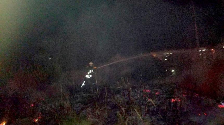 Muğla'da sazlık alanda çıkan yangın söndürüldü