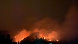 Rize'de korkutan orman yangını