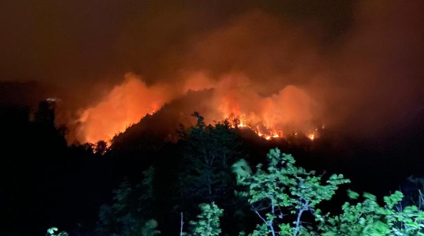 Rize'de korkutan orman yangını