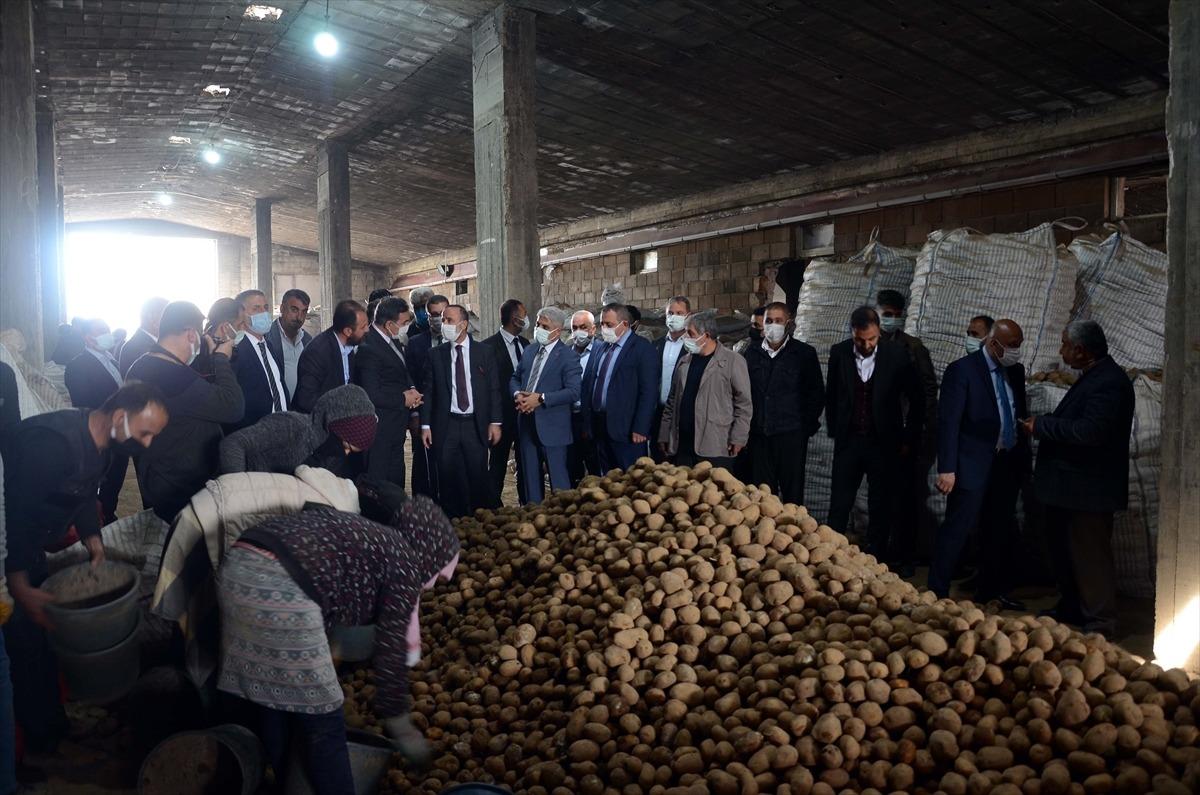 Bitlis'te depolarda kalan patatesler, ihtiya&ccedil; sahiplerinin sofrasına ulaştırılıyor