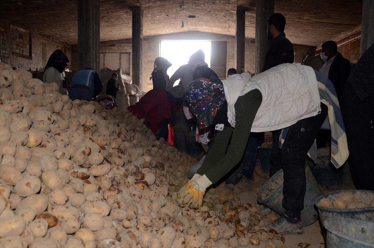 Bitlis'te depolarda kalan patatesler, ihtiyaç sahiplerinin sofrasına ulaştırılıyor G2