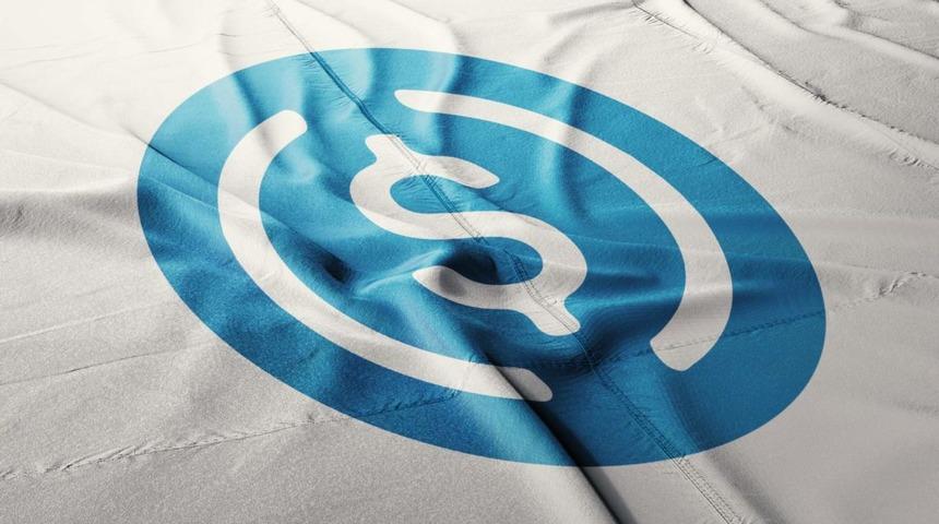 USD Coin nedir? USDC nedir? USD Coin nasıl çalışır?