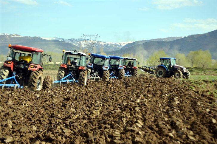 Muş Ovası'nda çiftçilerin ekim mesaisi başladı G1