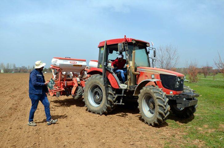 Muş Ovası'nda çiftçilerin ekim mesaisi başladı G3