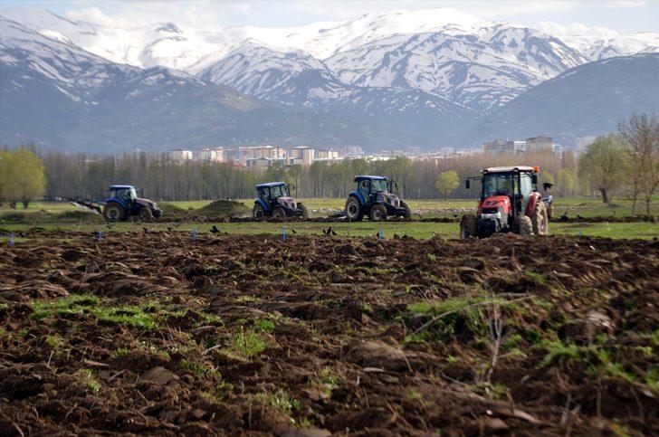 Muş Ovası'nda çiftçilerin ekim mesaisi başladı G5
