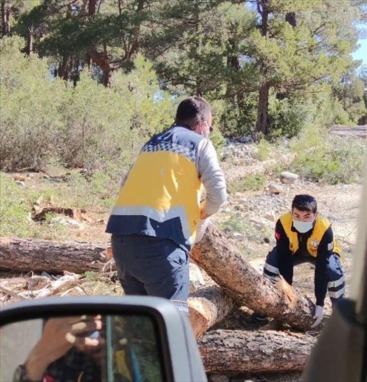 Denizli'de hastaya ulaşmak için yoldaki odunları temizleyen sağlık ekibinin çabası kameraya yansıdı
