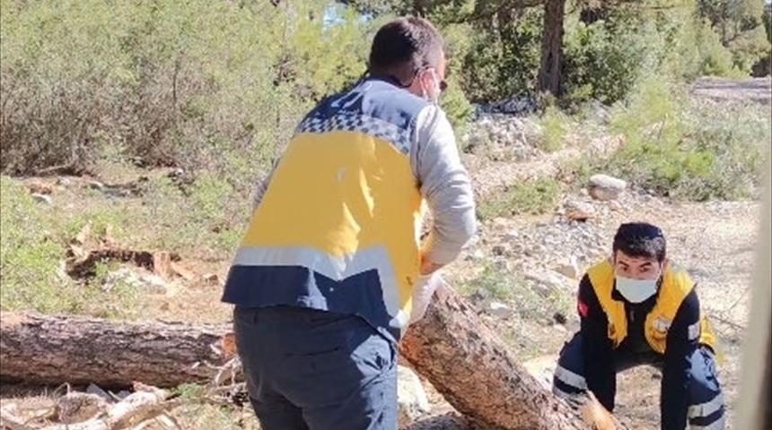 Denizli'de hastaya ulaşmak için yoldaki odunları temizleyen sağlık ekibinin çabası kameraya yansıdı