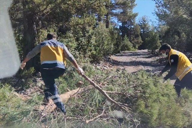 Denizli'de hastaya ulaşmak için yoldaki odunları temizleyen sağlık ekibinin çabası kameraya yansıdı