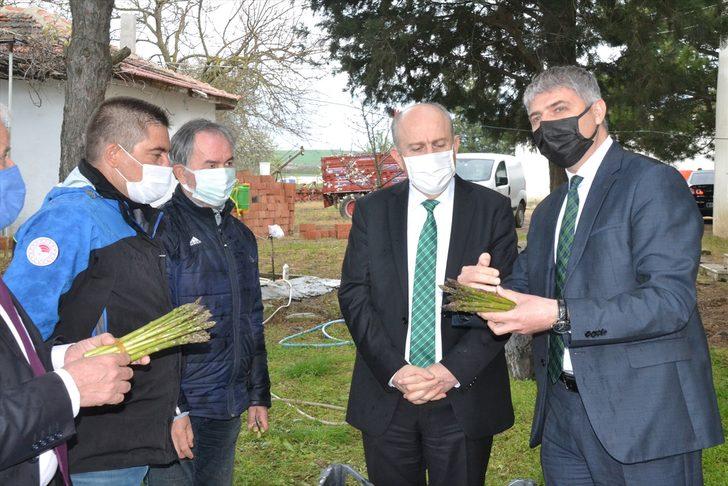 Keşan'da kuşkonmaz ekim alanında ilk hasat G1