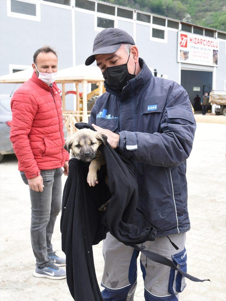 Giresun'da derede mahsur kalan köpek yavrusu kurtarıldı G1