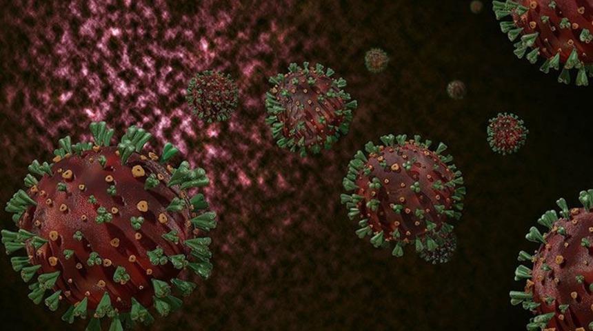 Nipah virüsü nedir? Türkiye’de var mı? İşte belirtileri...