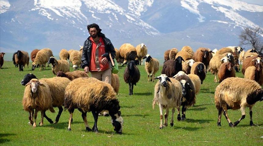 Hayvancılık destek &ouml;demeleri yattı mı? Hayvancılık destek &ouml;demeleri ne zaman?