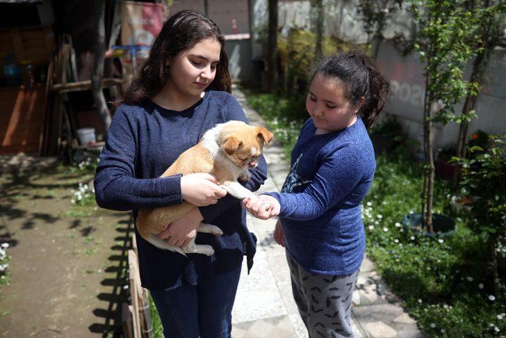 Vaka sayısı en çok artan illerden Düzce'de salgınla mücadele çalışmalarına hız verildi G3