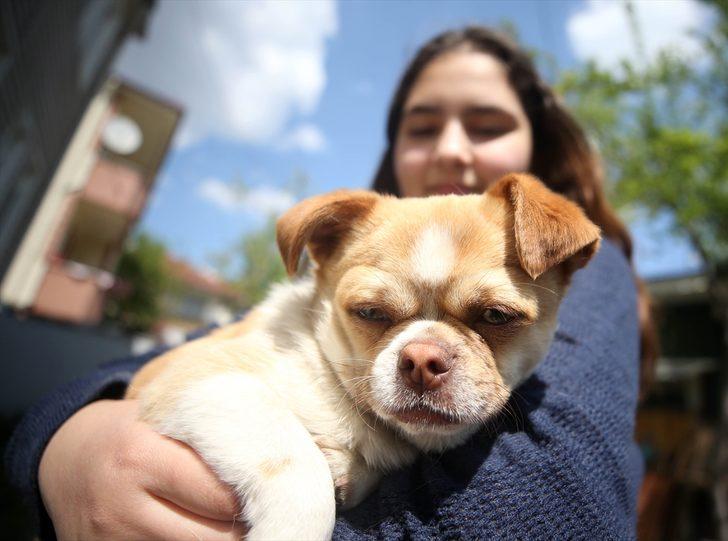 Vaka sayısı en çok artan illerden Düzce'de salgınla mücadele çalışmalarına hız verildi G5
