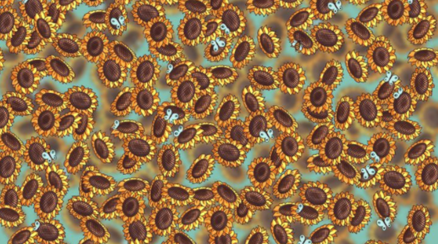 Görsel yeteneğinizi arttıracak bir bulmaca! Saklanan arıyı fark edebildiniz mi?