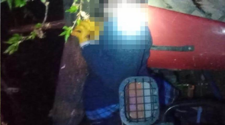 Trakt&ouml;r ile ağa&ccedil; arasına sıkışarak hayatını kaybetti