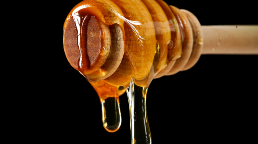 Alınan numunelerle ortaya çıktı! Soğuk Savaş’ın nükleer kırıntıları balın içinde bulundu