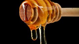 Alınan numunelerle ortaya çıktı! Soğuk Savaş’ın nükleer kırıntıları balın içinde bulundu