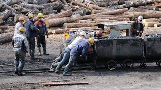 Taş kömürü satışından yılın ilk çeyreğinde 91,4 milyon lira gelir sağlandı