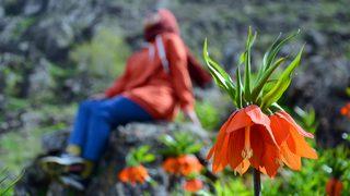 Ağlayan gelinleri koparanlara 80 bin lira para cezası