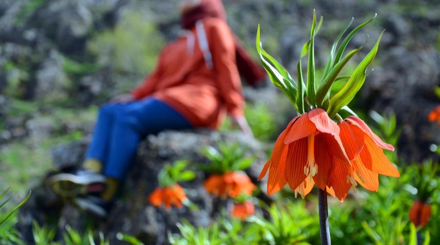 Ağlayan gelinleri koparanlara 80 bin lira para cezası