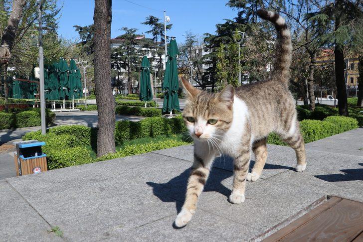 İç Anadolu'da şehirler, sokağa çıkma kısıtlaması ile sessizliğe büründü G4