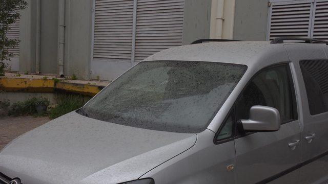 Prof. Dr. Doğan Yaşar'dan 'toz taşınımı' uyarısı