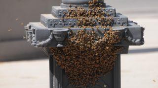 Sokak ortasında tedirgin eden görüntü! Arılar istila etti