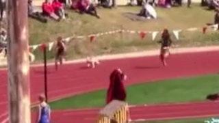 Tribünden atlayan köpek yarışı kazandı