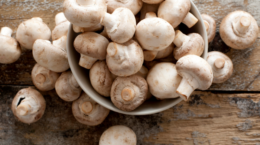 17 çalışma analiz edildi! Bir orta boy mantar kanser riskini neredeyse yarı yarıya azaltıyor