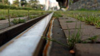 Tırtılların kelebeğe dönüşme yolculuğu raylardan geçiyor