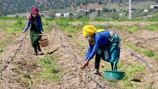 Eskişehir'de üretiliyor, Romanya, Almanya ve Singapur'a satılıyor