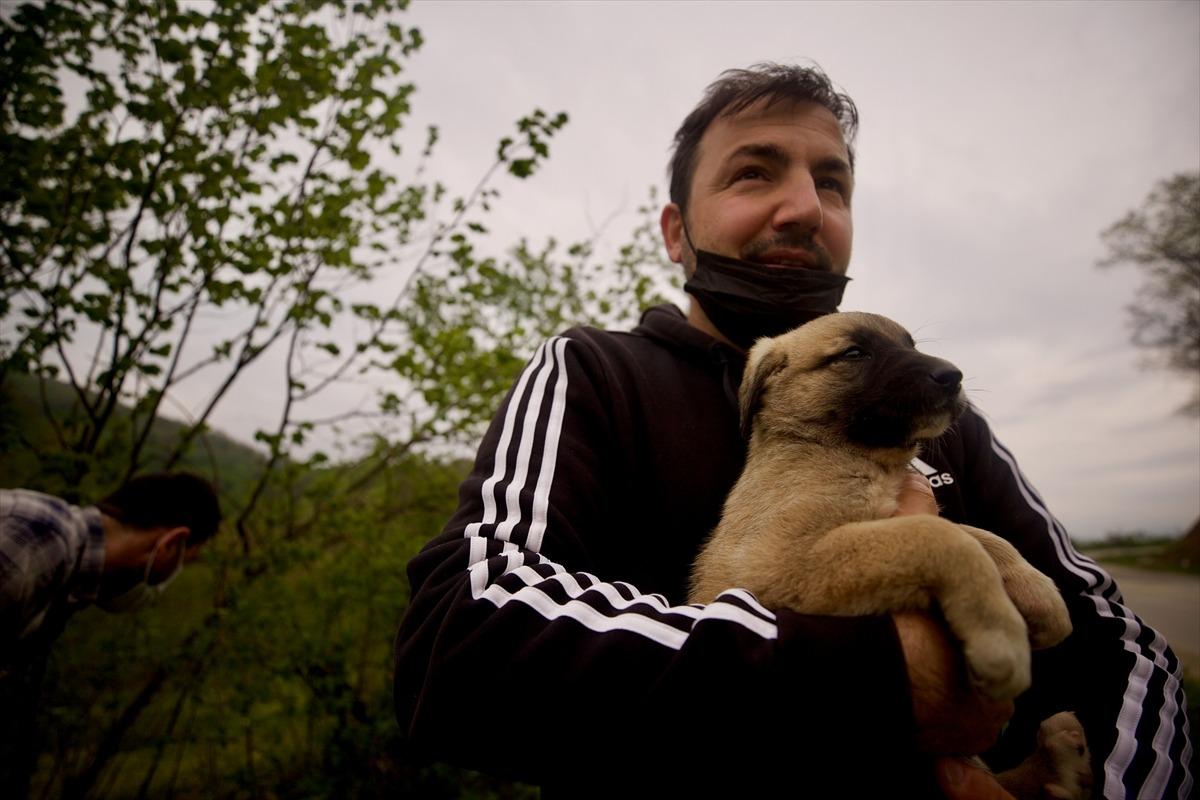 Sokak hayvanlarına yiyecek ulaştıran milli sporcular "iyilik hareketi"yle &ouml;rnek oluyor