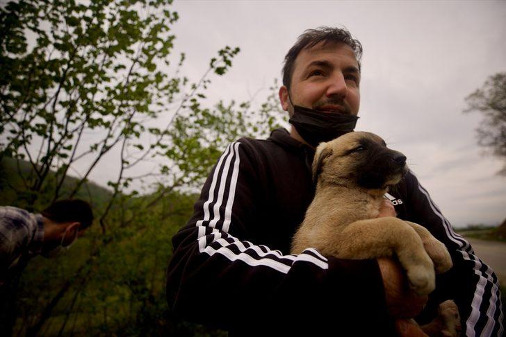 Sokak hayvanlarına yiyecek ulaştıran milli sporcular "iyilik hareketi"yle örnek oluyor G1