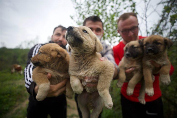 Sokak hayvanlarına yiyecek ulaştıran milli sporcular "iyilik hareketi"yle örnek oluyor G2