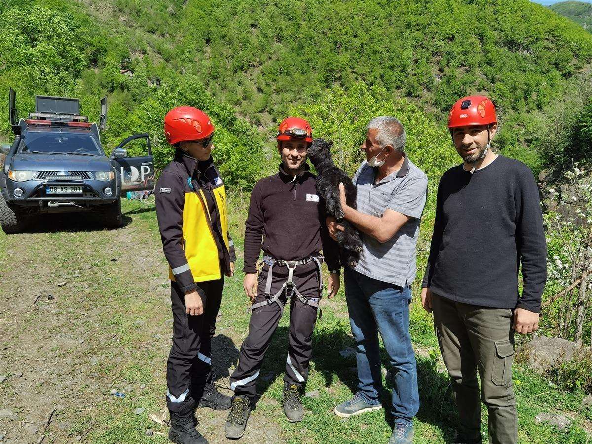 Artvin'de kayalıklarda mahsur kalan oğlak kurtarıldı