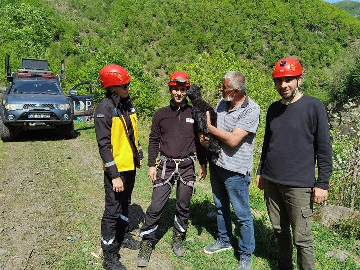 Artvin'de kayalıklarda mahsur kalan oğlak kurtarıldı G1