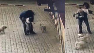 Bartın'da vatandaşın dili boğazına kaçan çocuğu kurtarışı böyle görüntülendi