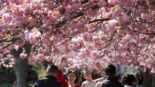 Britanya’nın yarısı en az bir doz aşı oldu