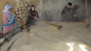 Çukurca’nın 400 yıllık değirmenden üretilen susamın ünü sınırları aştı! Tahinin tadı damakları şenlendirdi