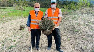 Bolu'da 100 dönümlük arazi lavanta bahçesi olacak